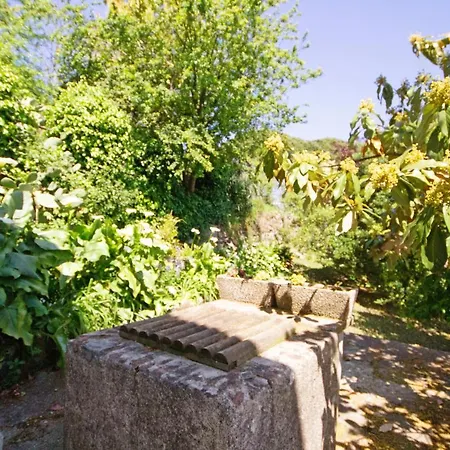 Monolocale Fattorialmare Gialla * 카모글리