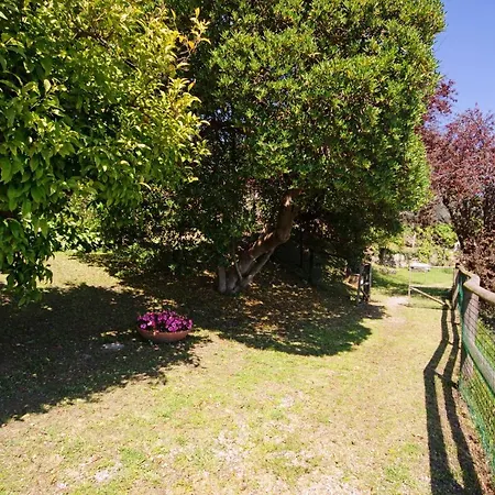 Apartman Monolocale Fattorialmare Gialla *