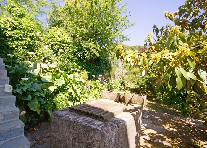 Monolocale Fattorialmare Gialla * Camogli