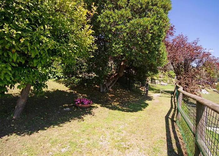 Lägenhet Monolocale Fattorialmare Gialla *